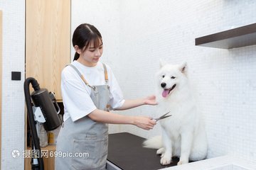 imToken钱包安卓版